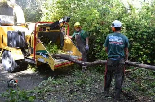 tree services Big River